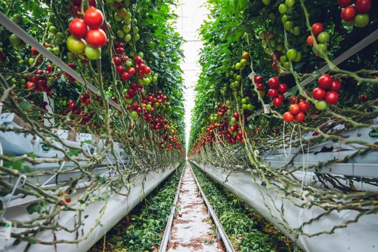 Tuinbouw als voorloper in een nieuw tijdperk