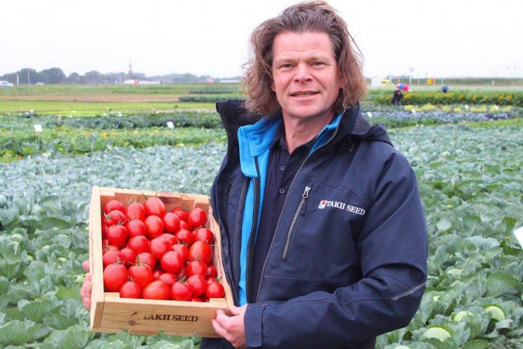 Aan de slag met de kracht van groente en fruit