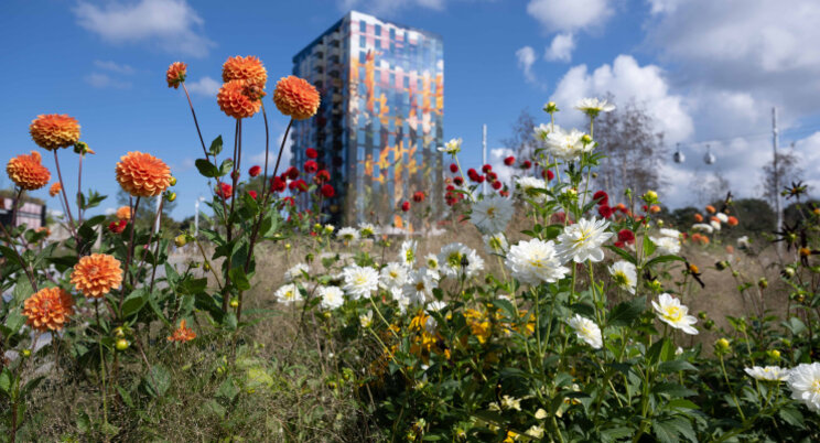 Zondag officile sluiting Floriade Expo 2022