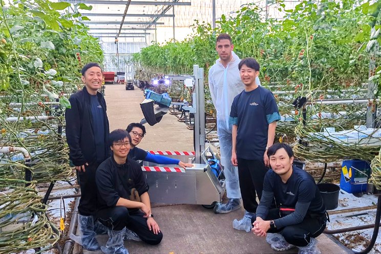 Inaho zoekt telers voor testen tomatenoogstrobot