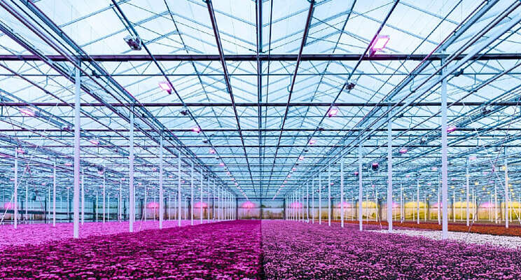 Rendement uit investering in LED inzichtelijk