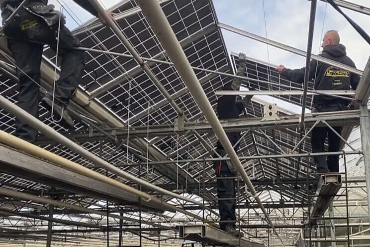 Meer dan 700 zonnepanelen op kassen in Haarlem