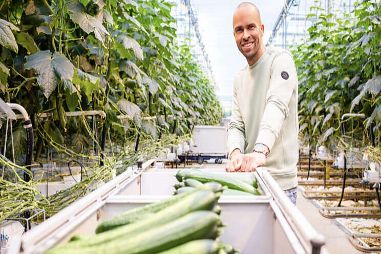 Komkommerkwekerij Vitom wordt lid Growers United 