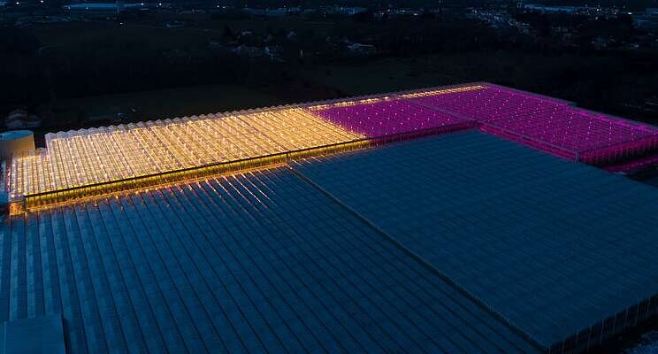 Telers massaal in de startblokken voor LED