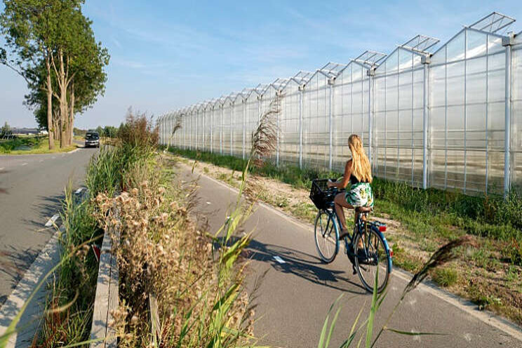 Miljoenen voor verduurzaming van Gelderse tuinbouw