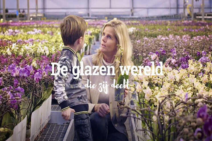 Video: 'Een glazen wereld, met een warm hart'