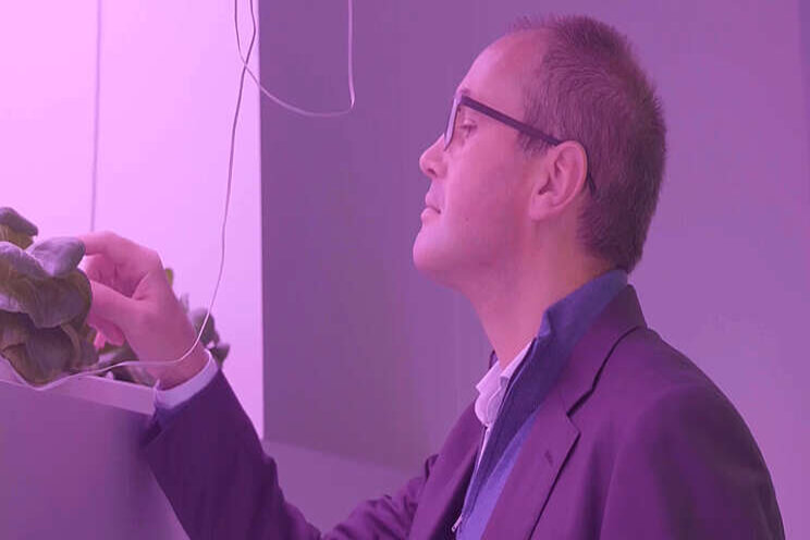 Video: Concrete innovaties in vertical farming