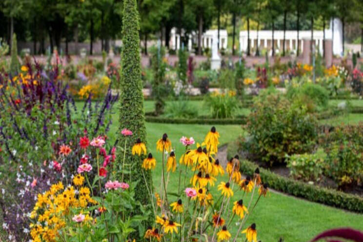 Nazomeren op Het Loo