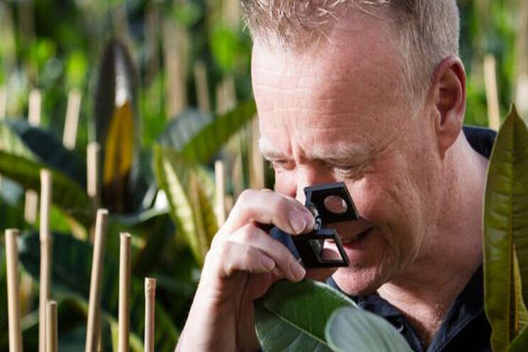 Mogelijkheden voor projecten Plantgezondheid